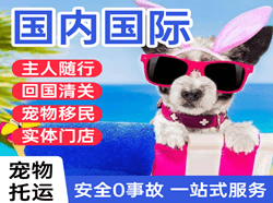 赤峰玉龙航空快运国际宠物托运 【国